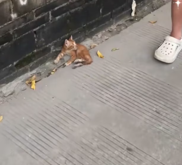 T1301024 No one around, only the sound of their own breath.