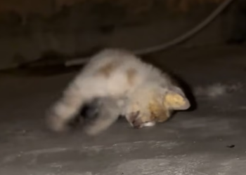 T1301027 Waiting… not knowing if help would come.