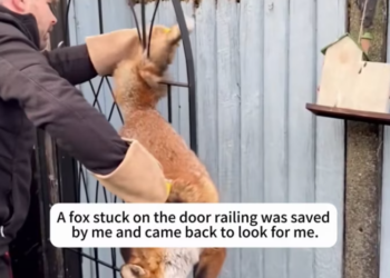 T1301029 Alone in the dark, clinging to hope.