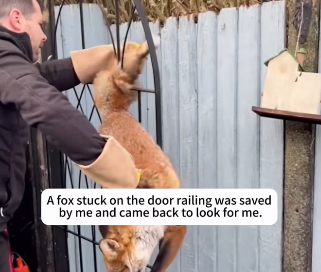 T1301029 Alone in the dark, clinging to hope.