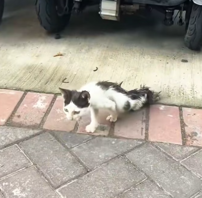 T1301030 Every movement hurts, every second matters.