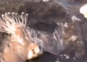 T1301031 The night was cold, but the fear was colder.