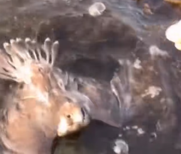 T1301031 The night was cold, but the fear was colder.