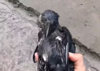 T1301039 The moment before help changes everything.