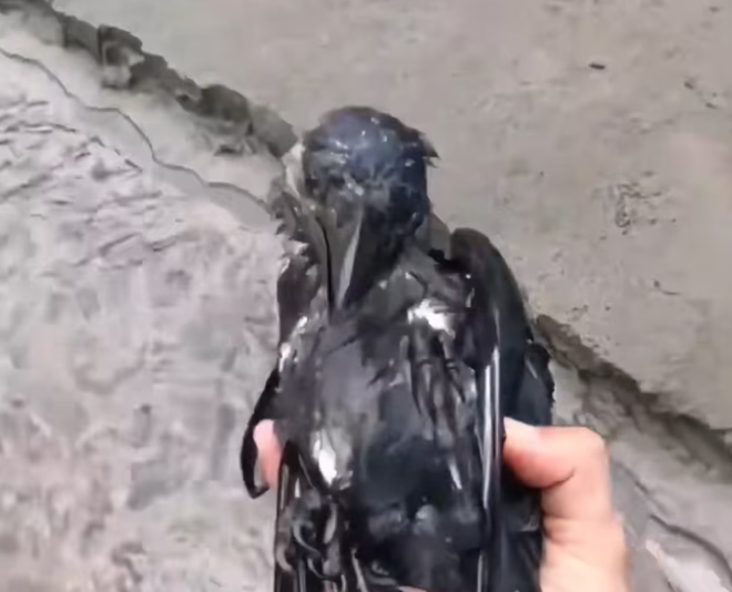 T1301039 The moment before help changes everything.