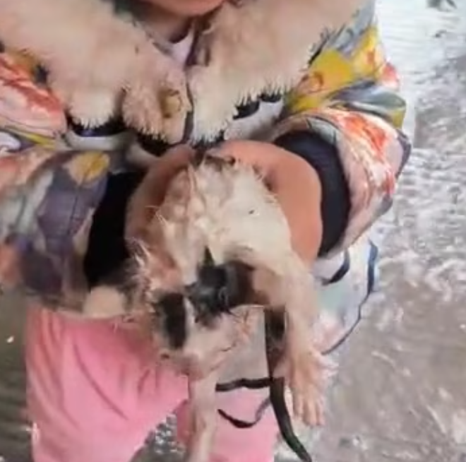 T1701006 Powerless and scared, it didn’t know if help would ever come. See what happened next.