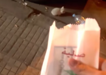 T1701008 Weak cries, shaking body, fading hope… this moment says it all.