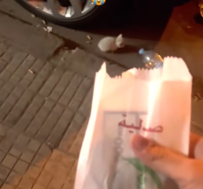 T1701008 Weak cries, shaking body, fading hope… this moment says it all.