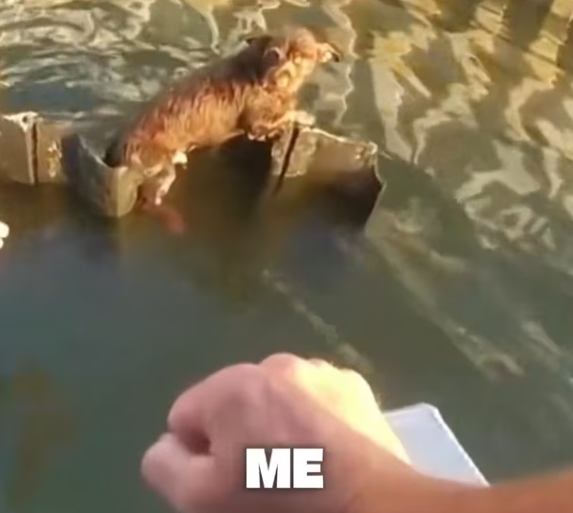 T1701014 You can feel the fear through the screen. See what happened next.