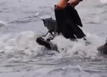 T1701016 This moment was quieter than screams, but far more painful.