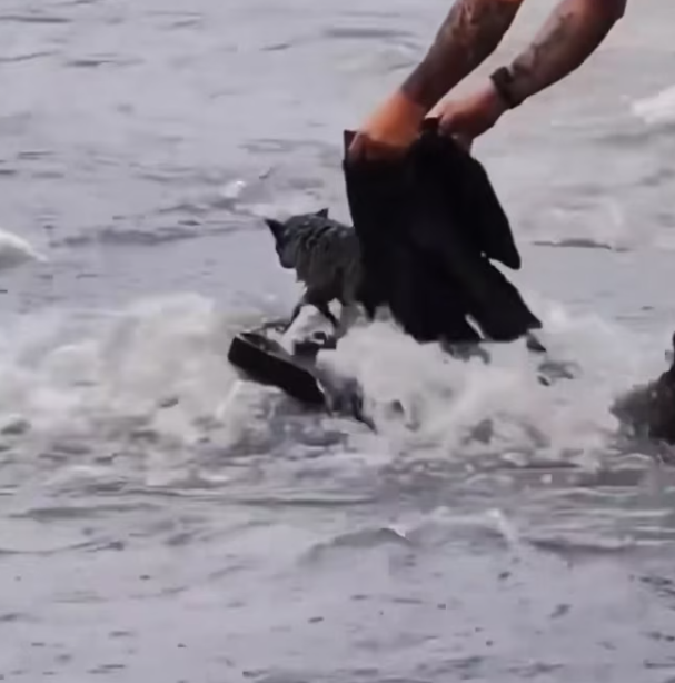 T1701016 This moment was quieter than screams, but far more painful.