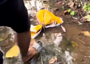 T1701018 The fear here wasn’t loud — it was heartbreaking.