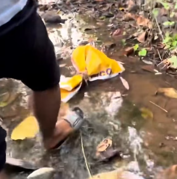 T1701018 The fear here wasn’t loud — it was heartbreaking.