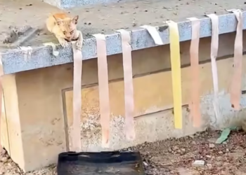 T1701024 This was not just being stuck — it was pure terror.