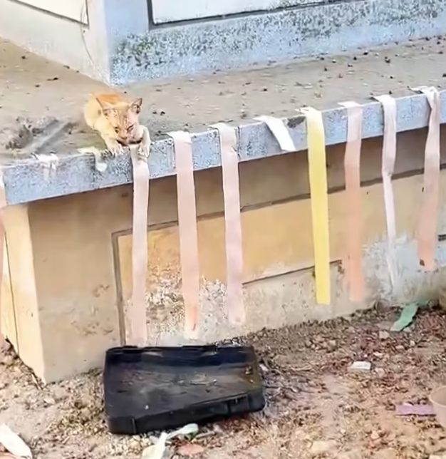 T1701024 This was not just being stuck — it was pure terror.