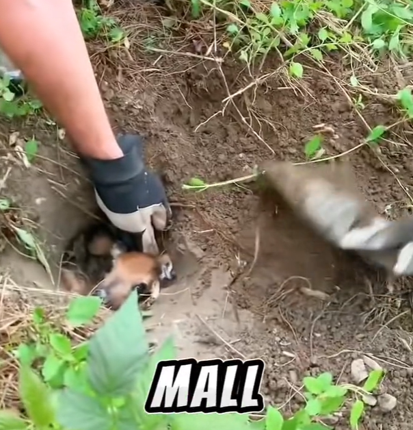 T1701026 Trapped with nowhere to go, hope was fading fast.