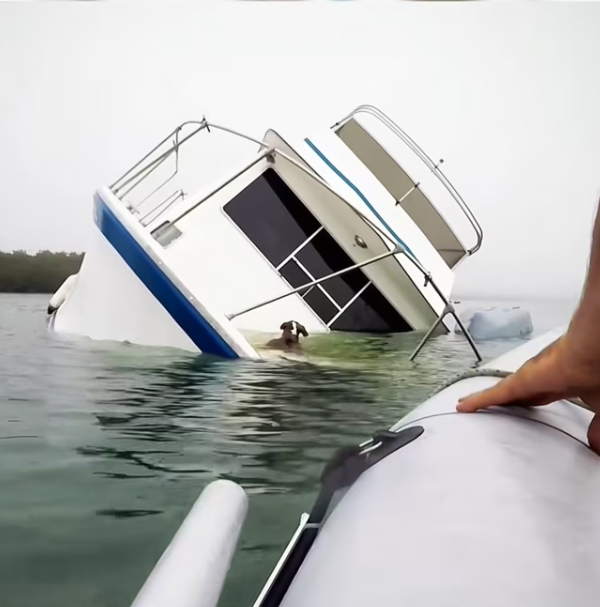 T1701028 This moment could have ended very differently.