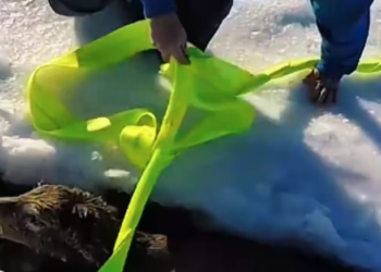 T1701029 Fear, pain, and silence filled the air. Watch the rest.