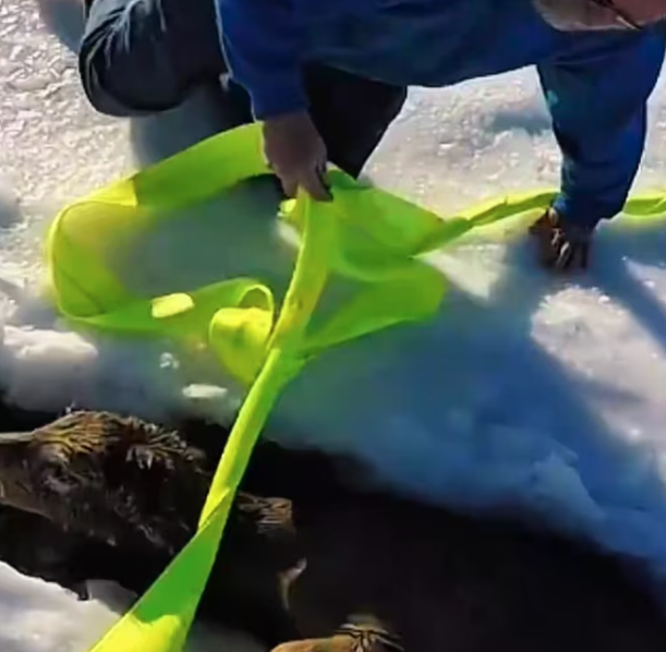 T1701029 Fear, pain, and silence filled the air. Watch the rest.