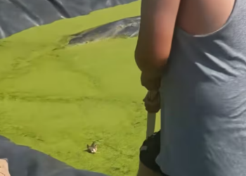 T0301017 The street became his final shelter.