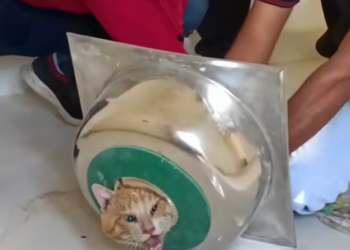 T1701037 This scene is painful, but what comes next matters.