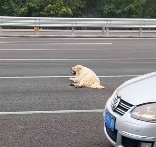 T0201036 Left helpless, crying for a miracle.