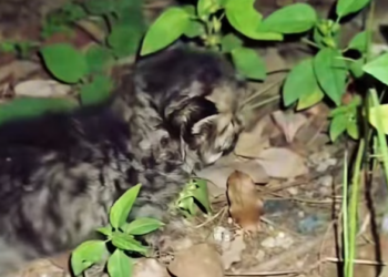 T1601050 One reaching hand can change everything.