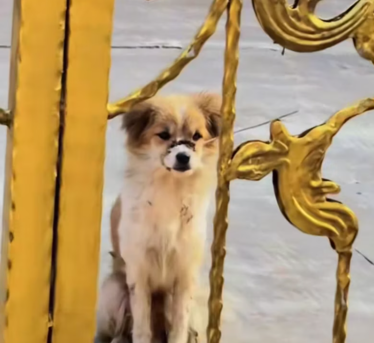 T1601030 Behind the silence was a cry no one heard.