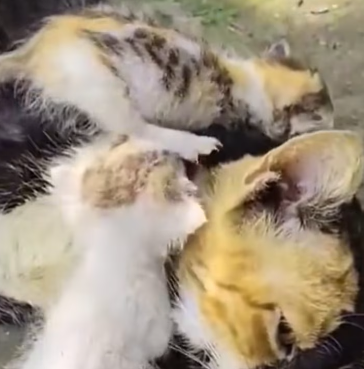 T1601023 A life left behind without anyone noticing.