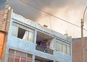 T2201012,Sweet and loving now but once abandoned and forgotten 😢 #dogrescue #animalstory