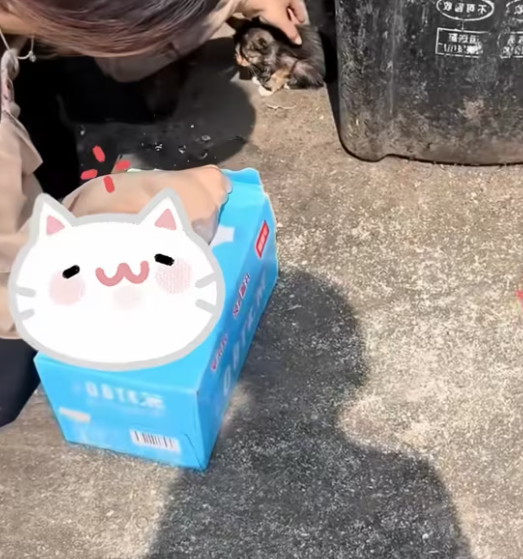 T0301022 Abandoned doesn’t mean unloved… just unseen.