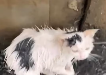 T0301029 He trusted the world once. Just once.