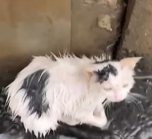 T0301029 He trusted the world once. Just once.