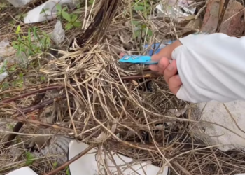 T0201039 His voice begged before his body gave up.