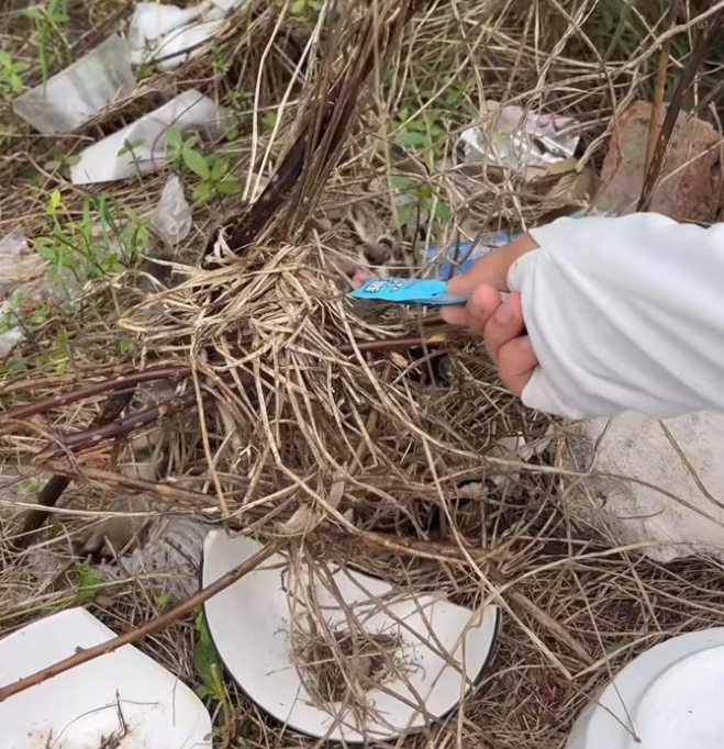 T0201039 His voice begged before his body gave up.