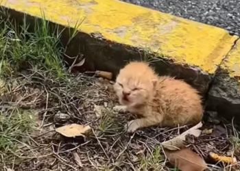 T0301033 Every second felt heavier than the last.