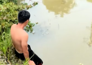 T2701020,Falling into the water was not the worst part being unable to climb out was 💔 #puppyrescue #animalrescue