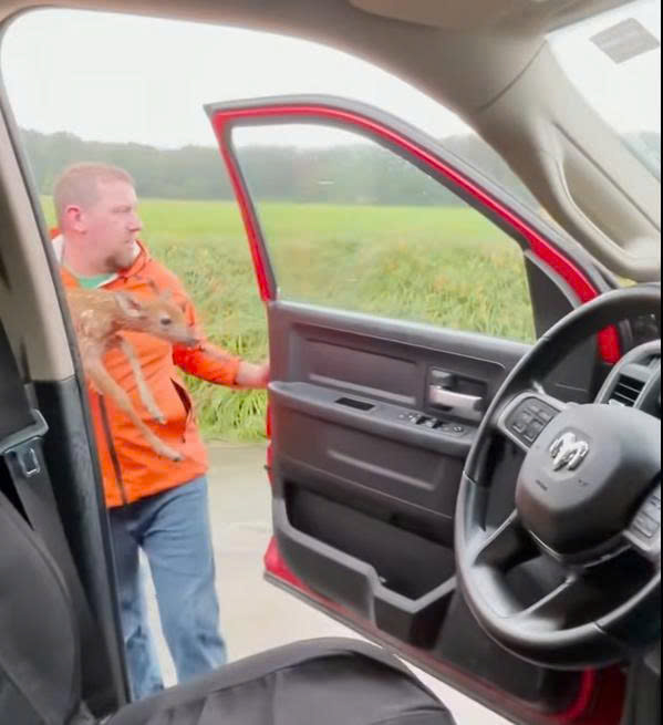 T2801001_He lifted the tiny deer from floodwaters, unsure if it was already too late… 💔 #animalrescue #wildliferescue