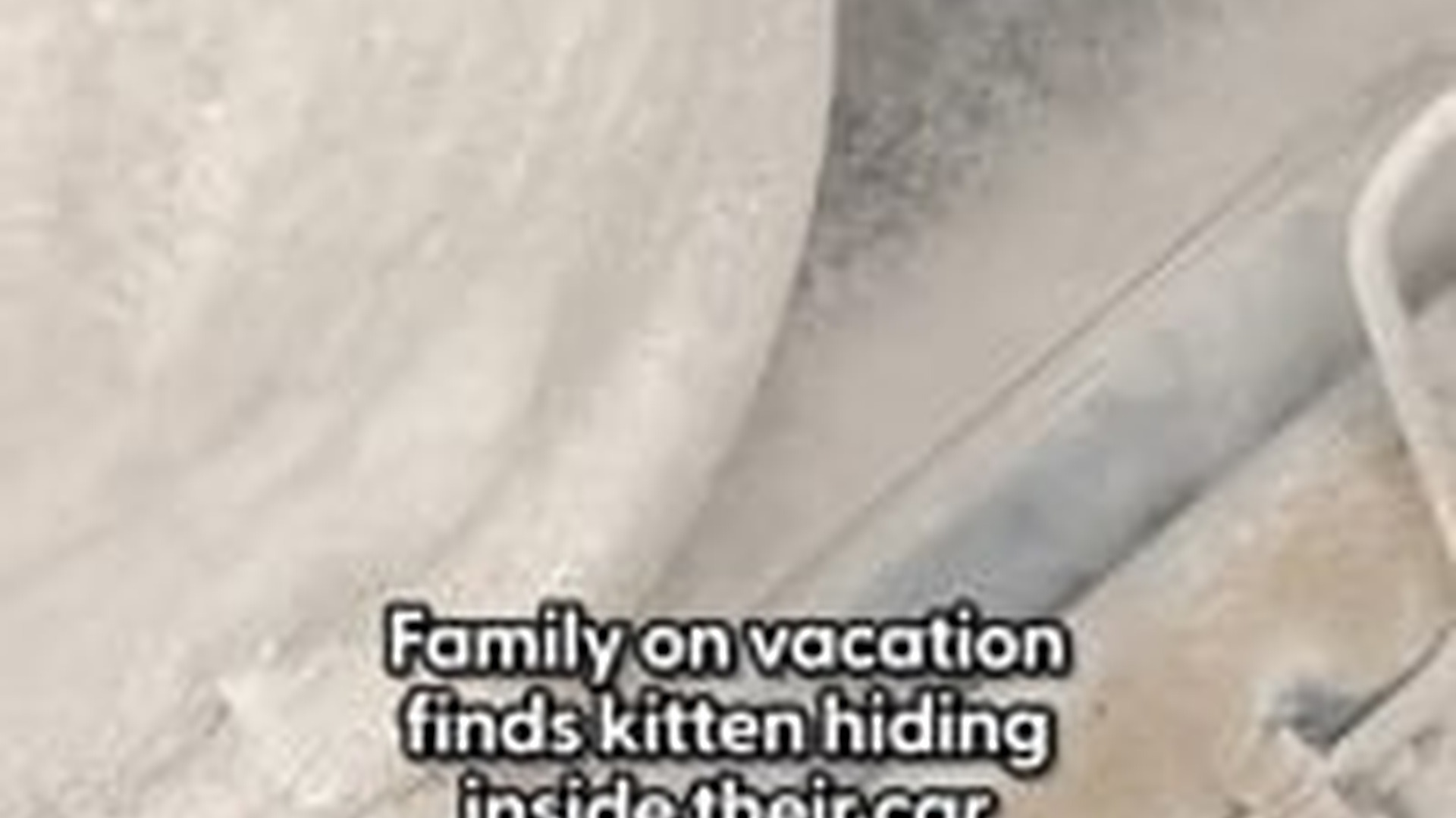 T1903017_Just wait emotional moment at end @ichou Française à...