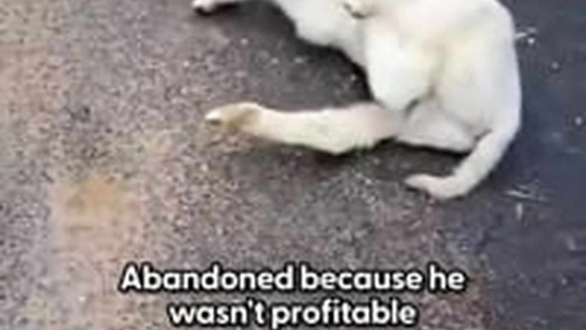 T1903019_He just wanted his mama wait most emotional moment few da...