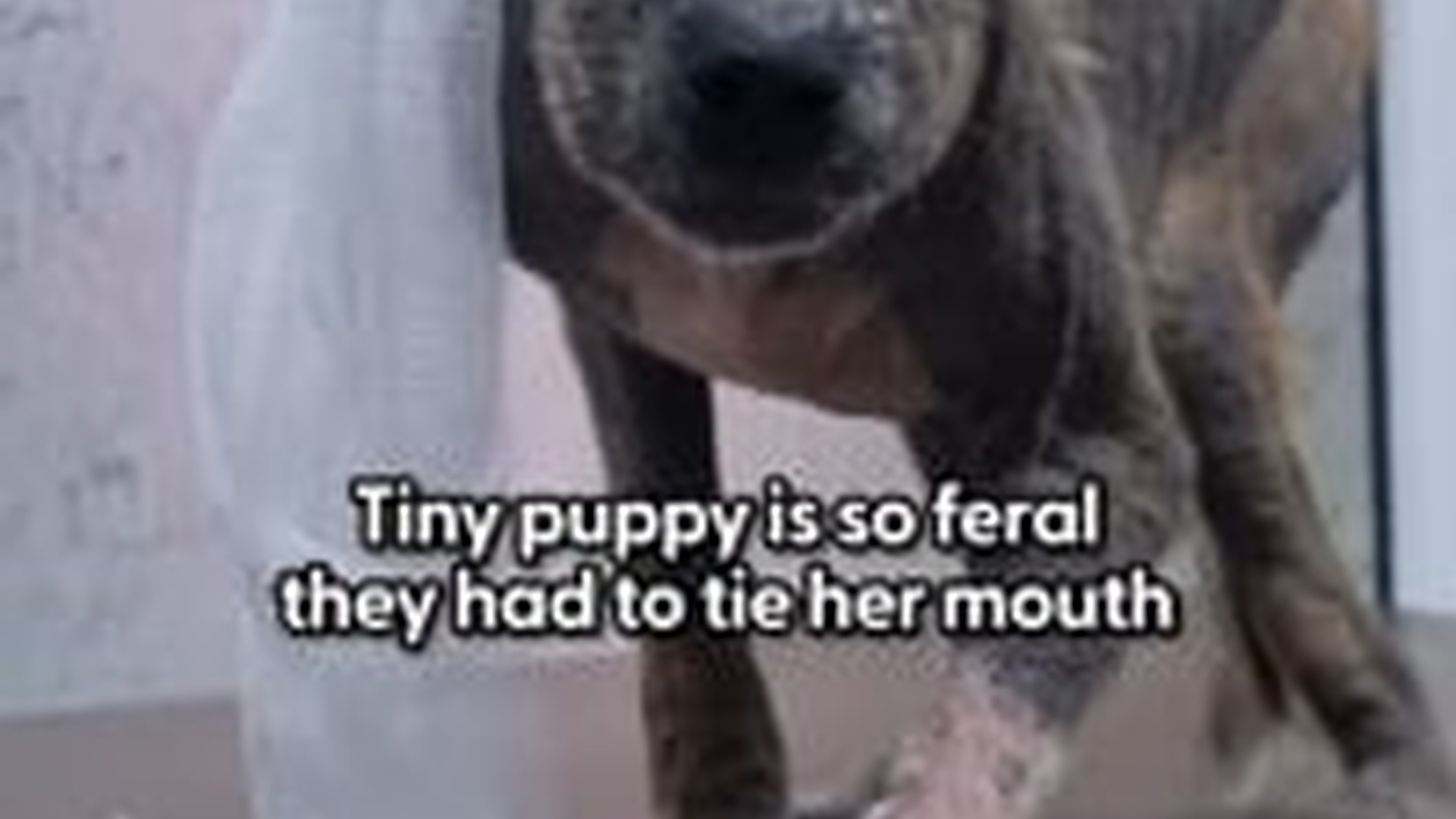 T1903024_One morning she just jumped out of bed decided to be whole