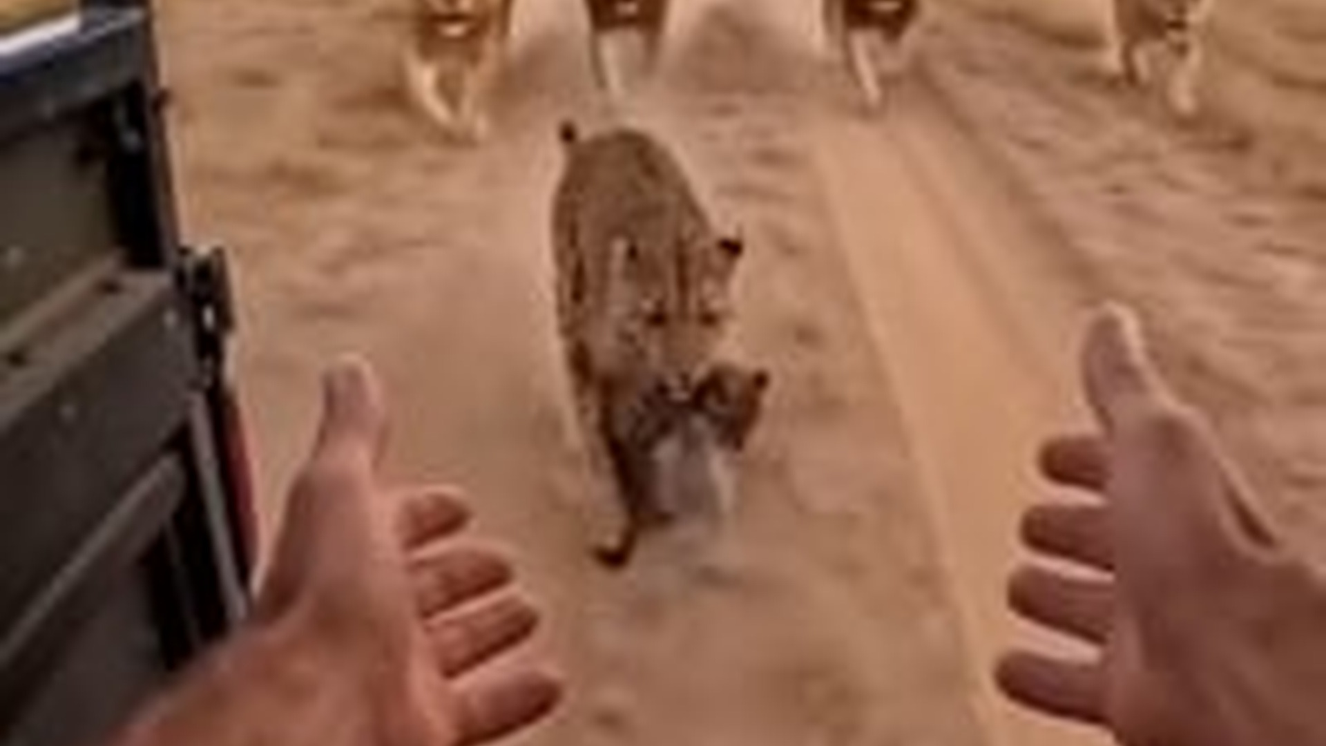 T3003001_mother sacrifice is never in vain