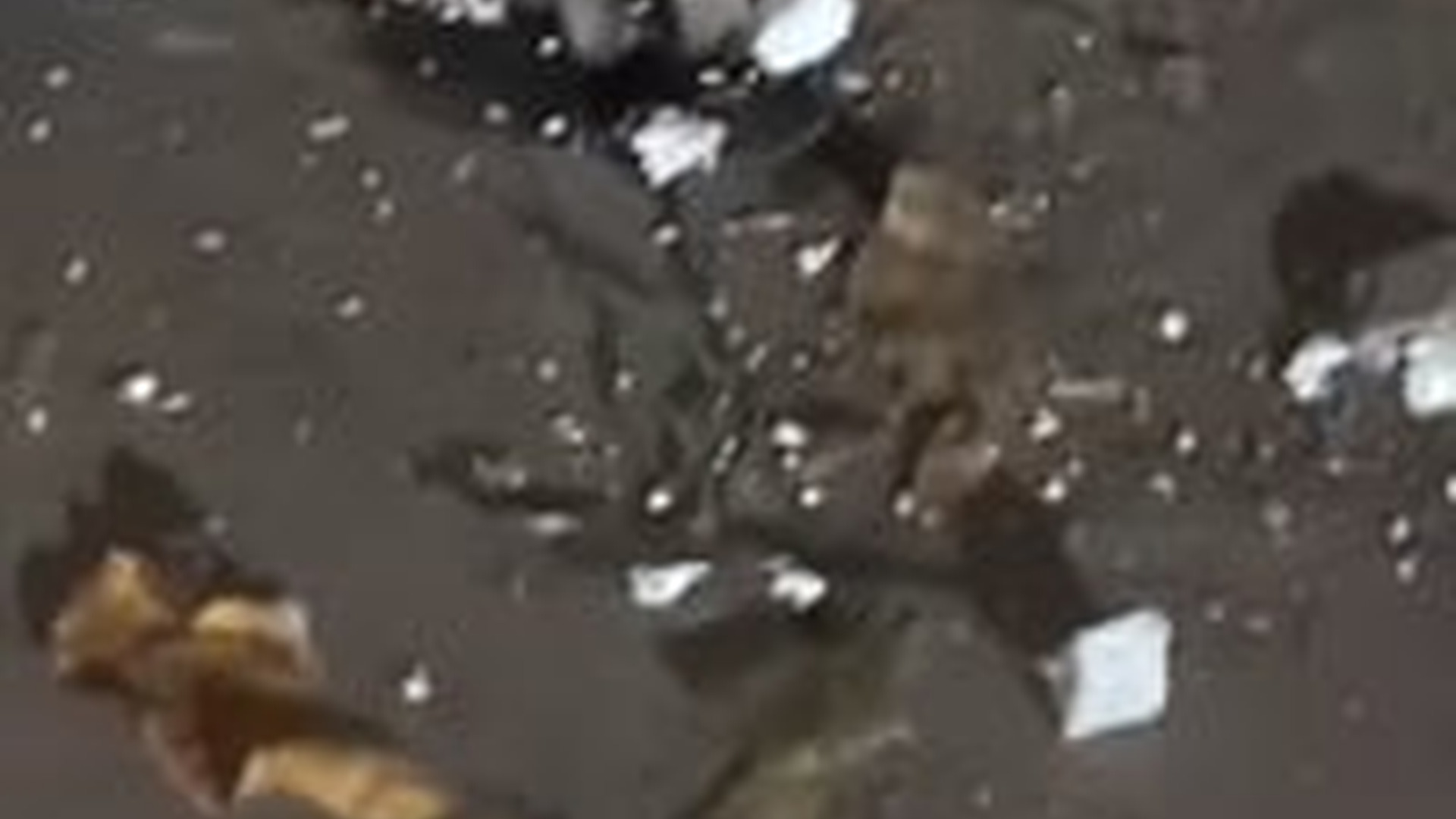 T1004013_Sad #doggielife #dog #dogs #pooranimals #sad #sadvibes #sadstory #a...