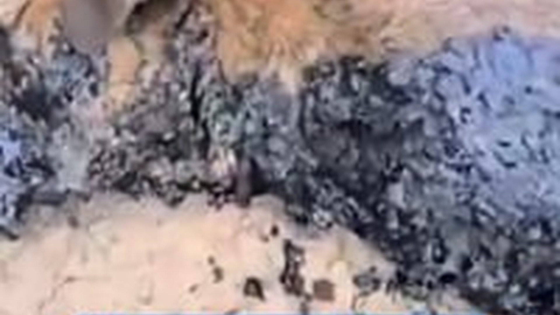 T1504025_He in unimaginable pain tar covering his entire body